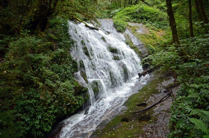 Waterfall on Kew Mae Pan, Nature Trail - Doi Inthanon 