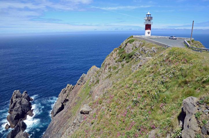 Cabo or Cape Ortegal, Galicia, with wild flowers in June.