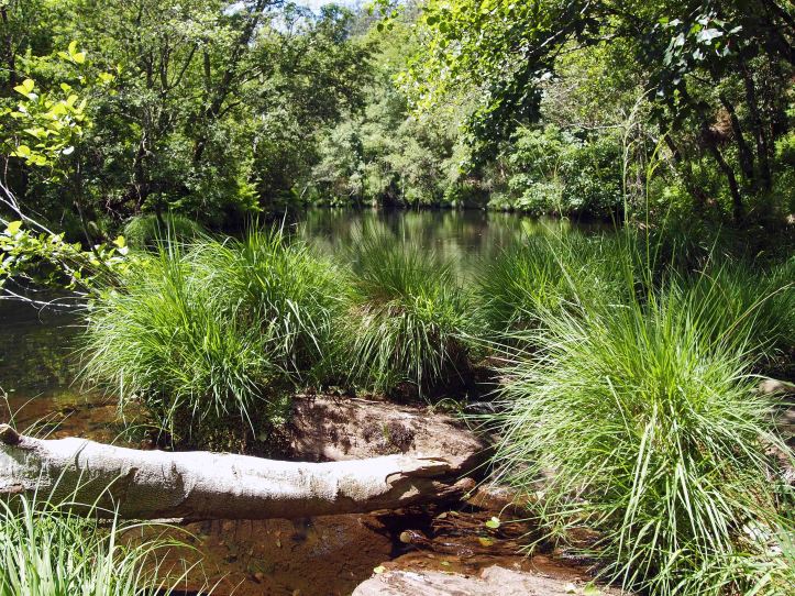 River Sor of Mañón, Galicia, Spain
