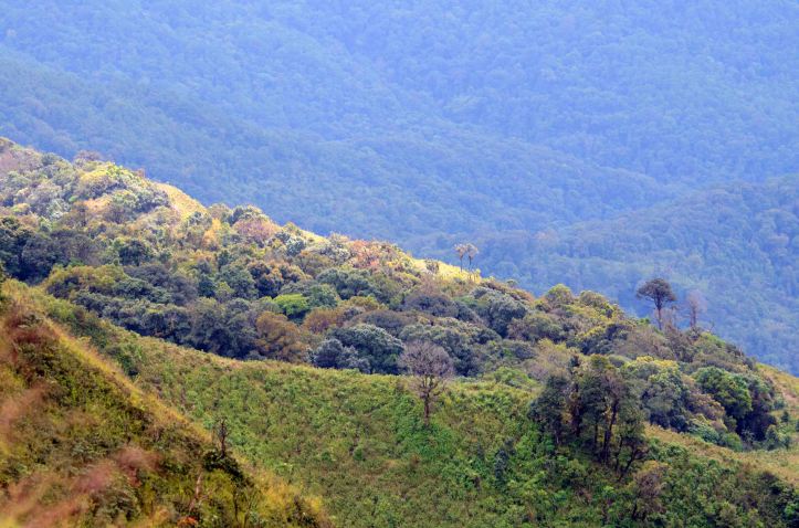 View from Doi Inthanon 