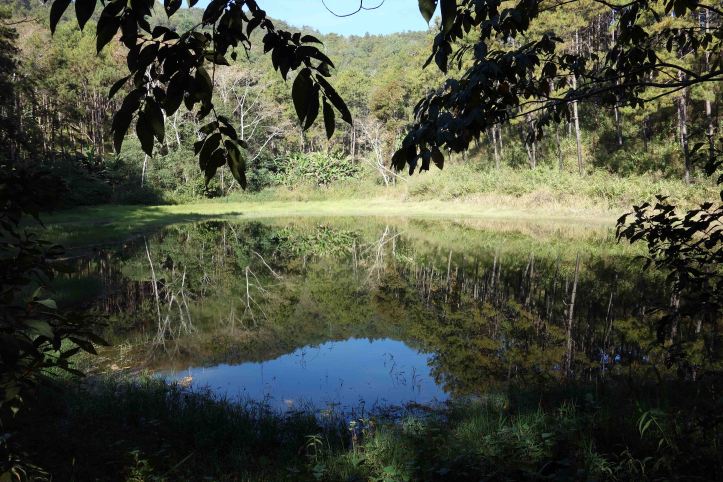 Small lake at Den Ya Khat Ranger Station, Doi Chiang Dao