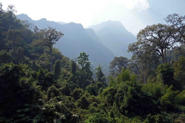 Doi Chiang Dao from Wat Tham Pha Plong
