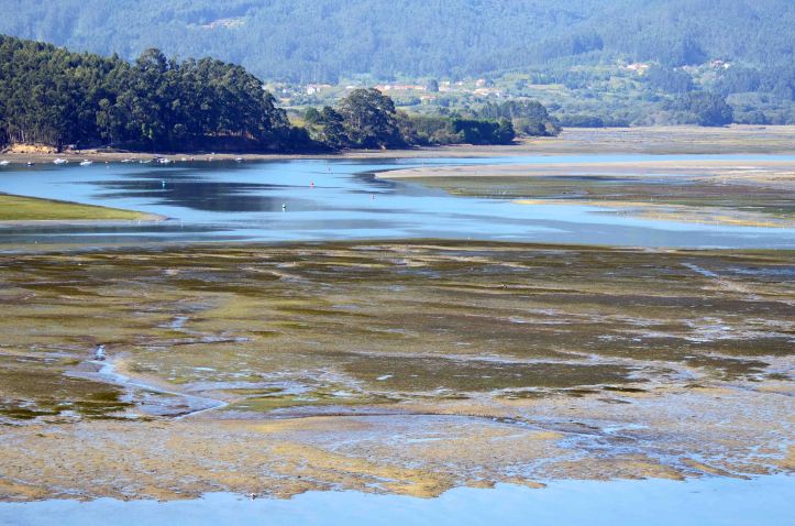 Mud flats at low tide by Ortigueira