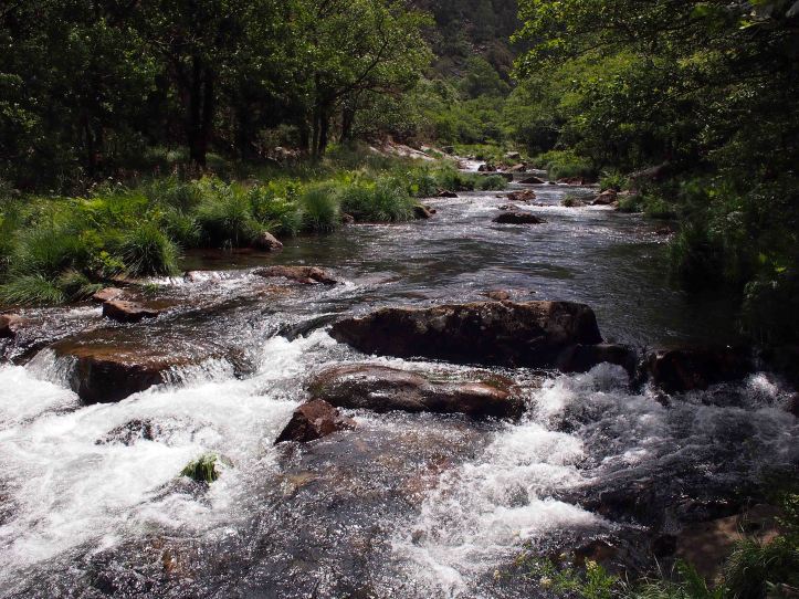 The fast flowing Rio Sor below the Mirador Agua Caida