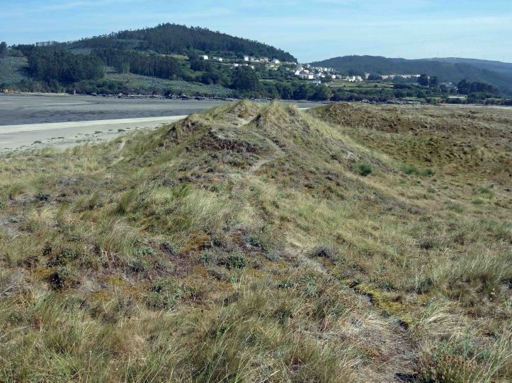 Dunes behind the beach with footpath
