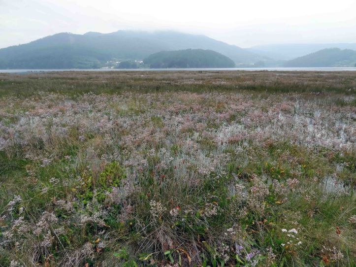 Ria Ortigueira at the start of the Morouzos Beach
