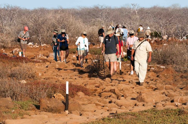 Trail through frigatebird colony on North Seymour, Galapagos