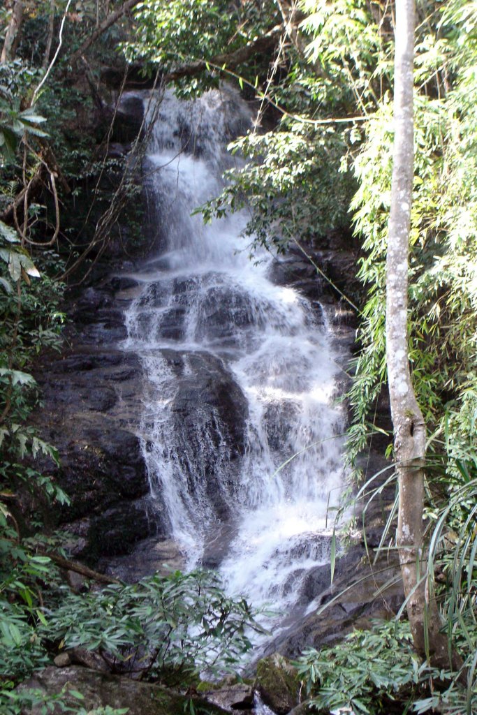 Sai Yoi Waterfall in Doi Sutep-Pui NP