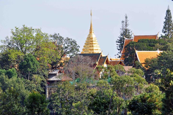 Wat Doi Sutep from Doi Sutep-Pui National Park
