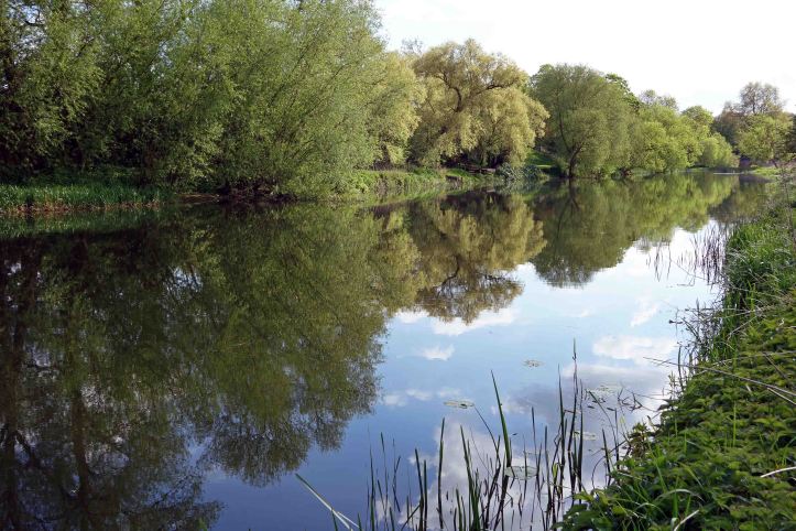 Great Ouse on 13 May 2015, near Felmersham, Beds