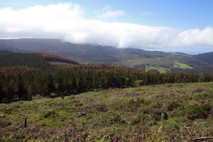  Serra da Capelada (Galicia, Spain) in cloud