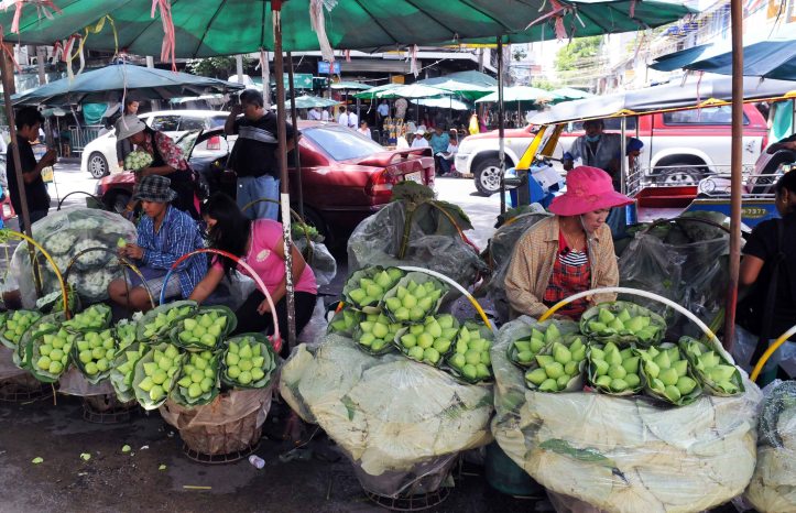 Lotus flower buds for sale in Bangkok (Pak Khlong talad)