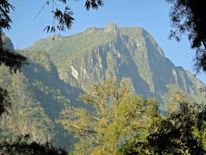 Doi (=mountain) Chiang Dao