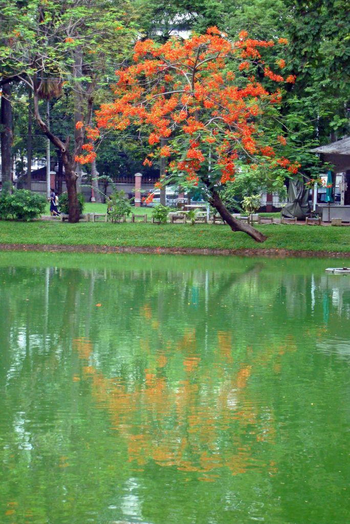 Lumpini Park, Bangkok