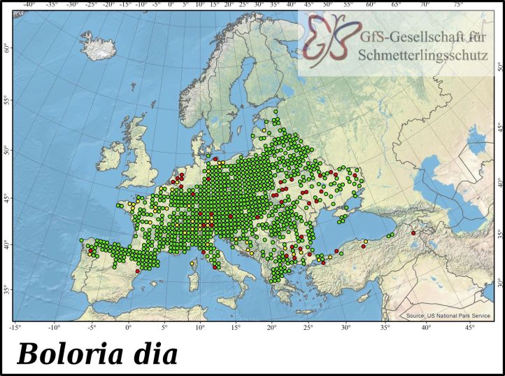 weaver's fritillary (Boloria dia) Asturias, Spain