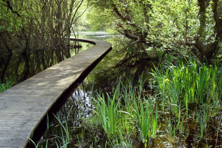 San Martino lagoon, Morouzos beach, Ortigueira