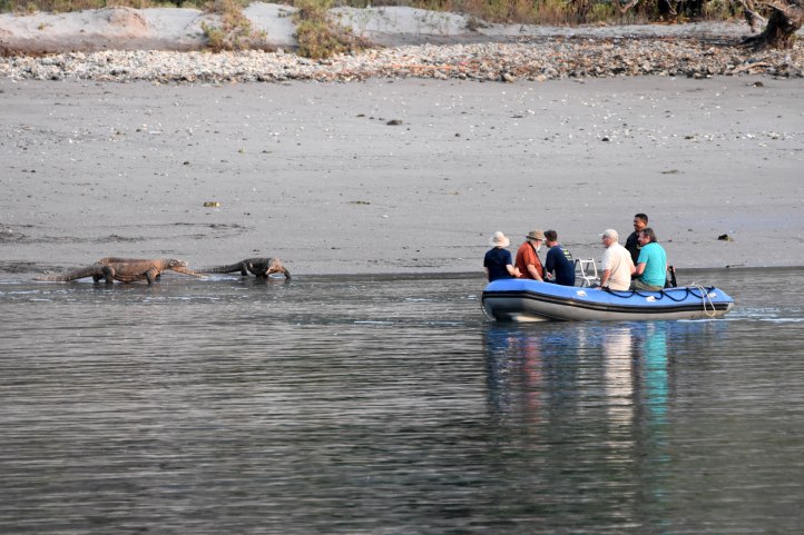'Shooting' dragons on the beach