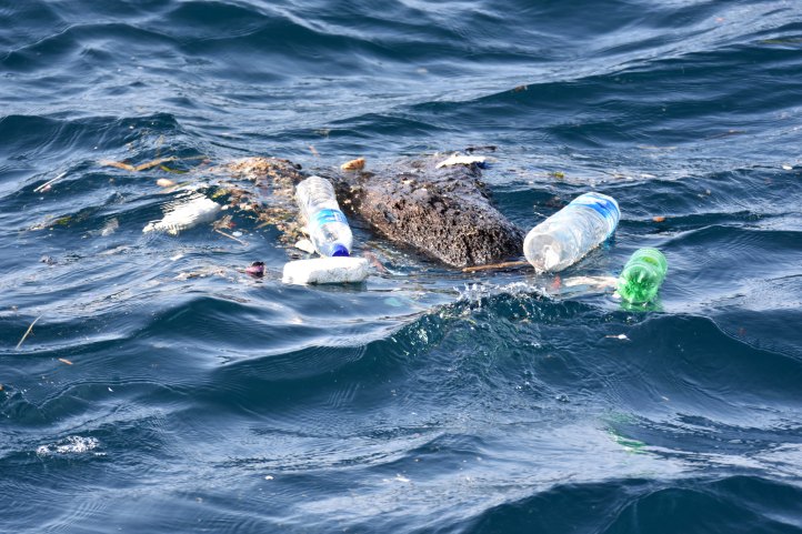 Plastic pollution